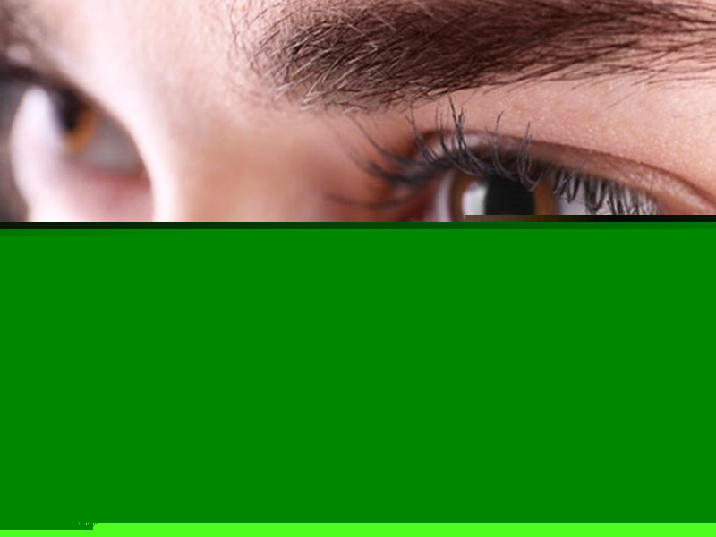lentilles