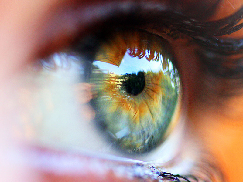 Cornee_Cristallin_Dent_dans_l_oeil_cecite_acuite_visuelle